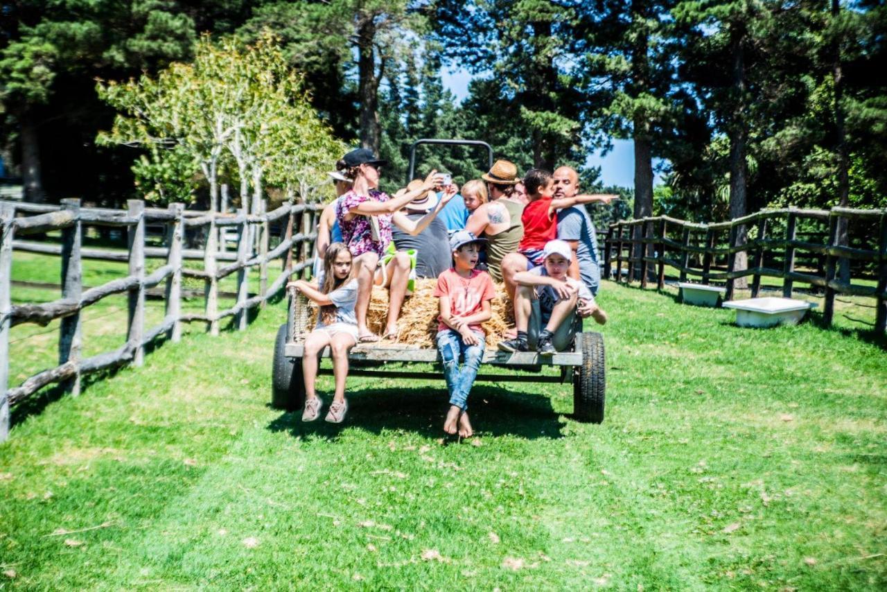 High Season Farm Luxury Hermanus