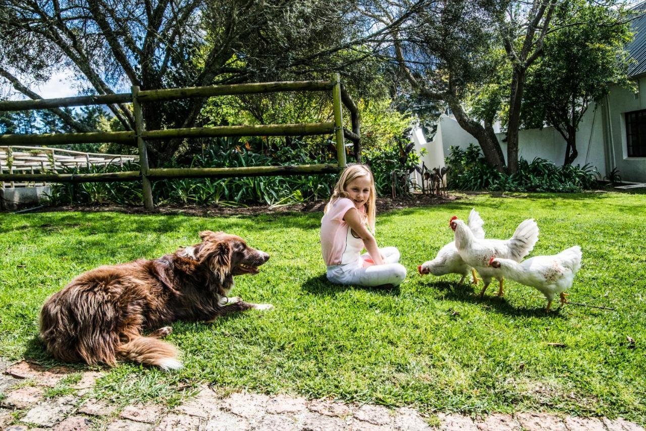 High Season Farm Luxury *